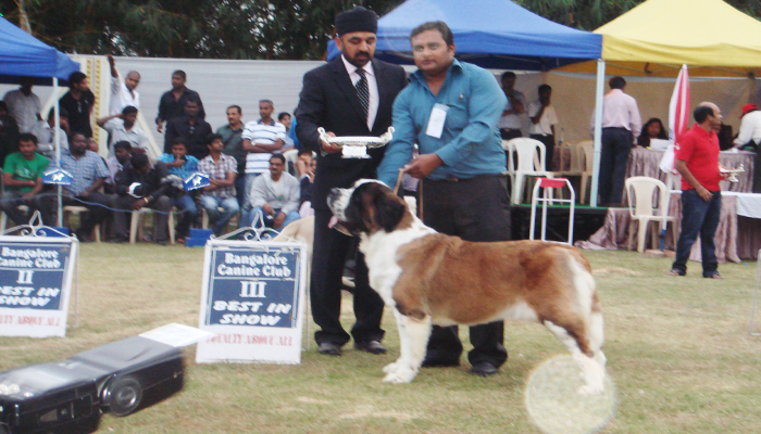 Image Caption